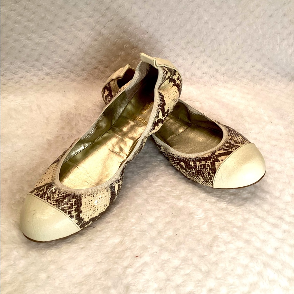 Ballet Flat Woman Shoes 6.5 Enzo Angiolini